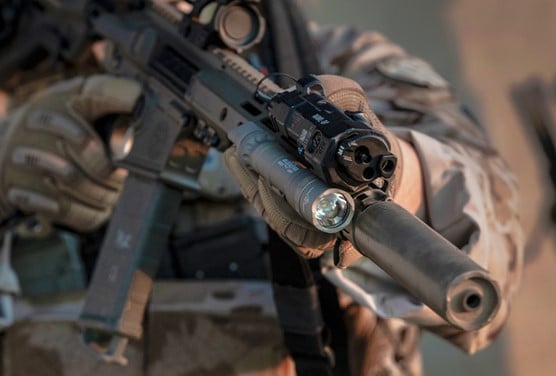 Scout Light Pro mounted on rifle